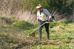 Weed Abatement